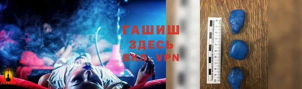 индика Абаза