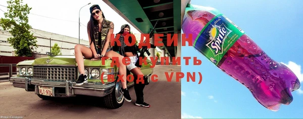 индика Абаза